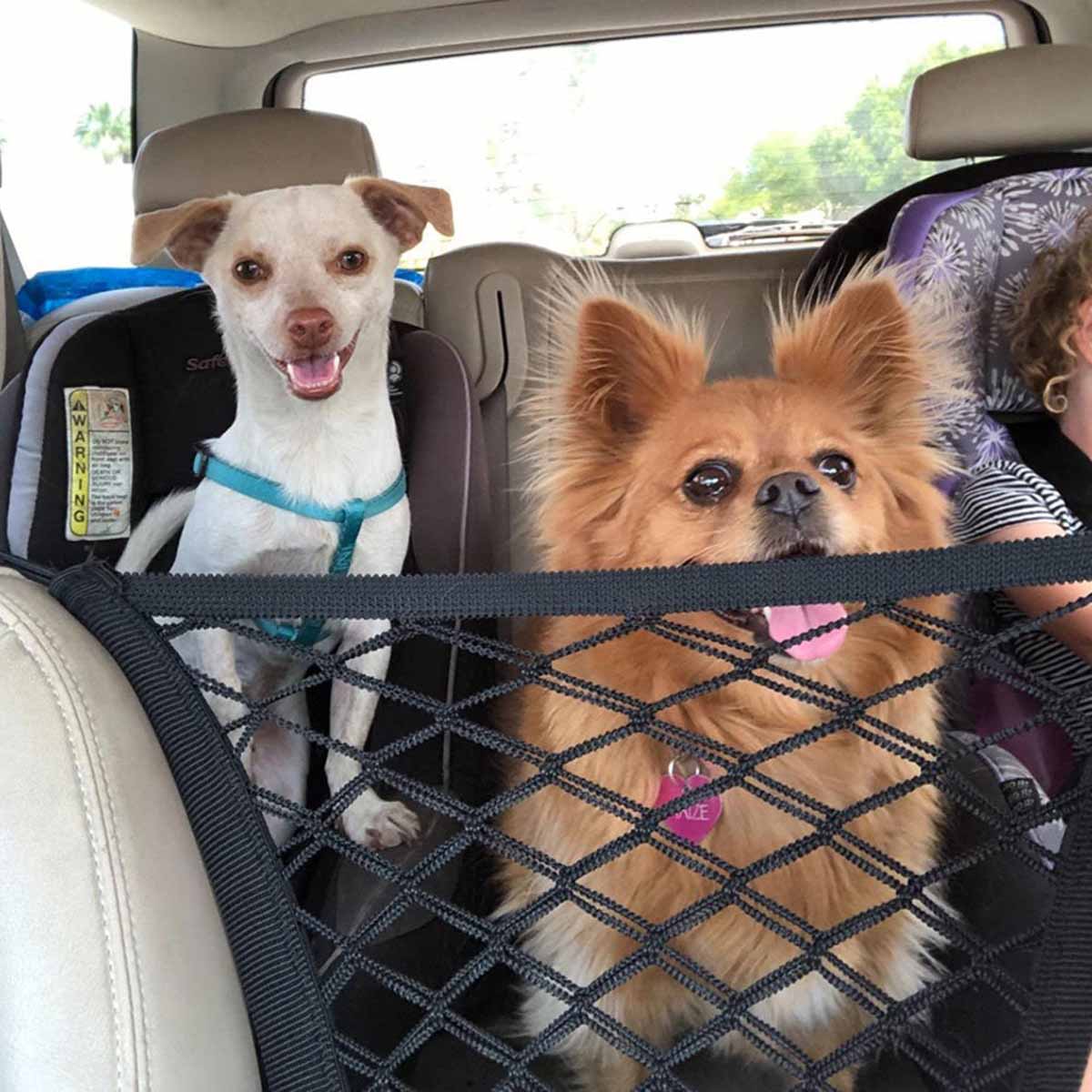 Haustier Hund Rücksitz Auto Za – Partition Screen Divider Bewertung und Preis