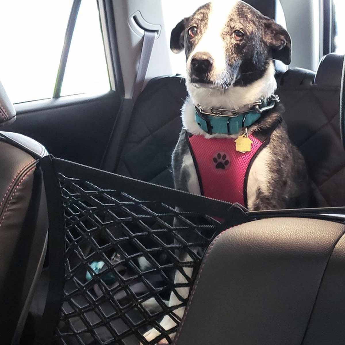 Haustier Hund Rücksitz Auto Za – Partition Screen Divider Bewertung und Preis